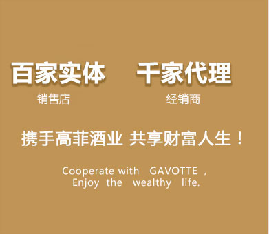 携手国产麻豆一区二区视视频酒业,共享财富人生